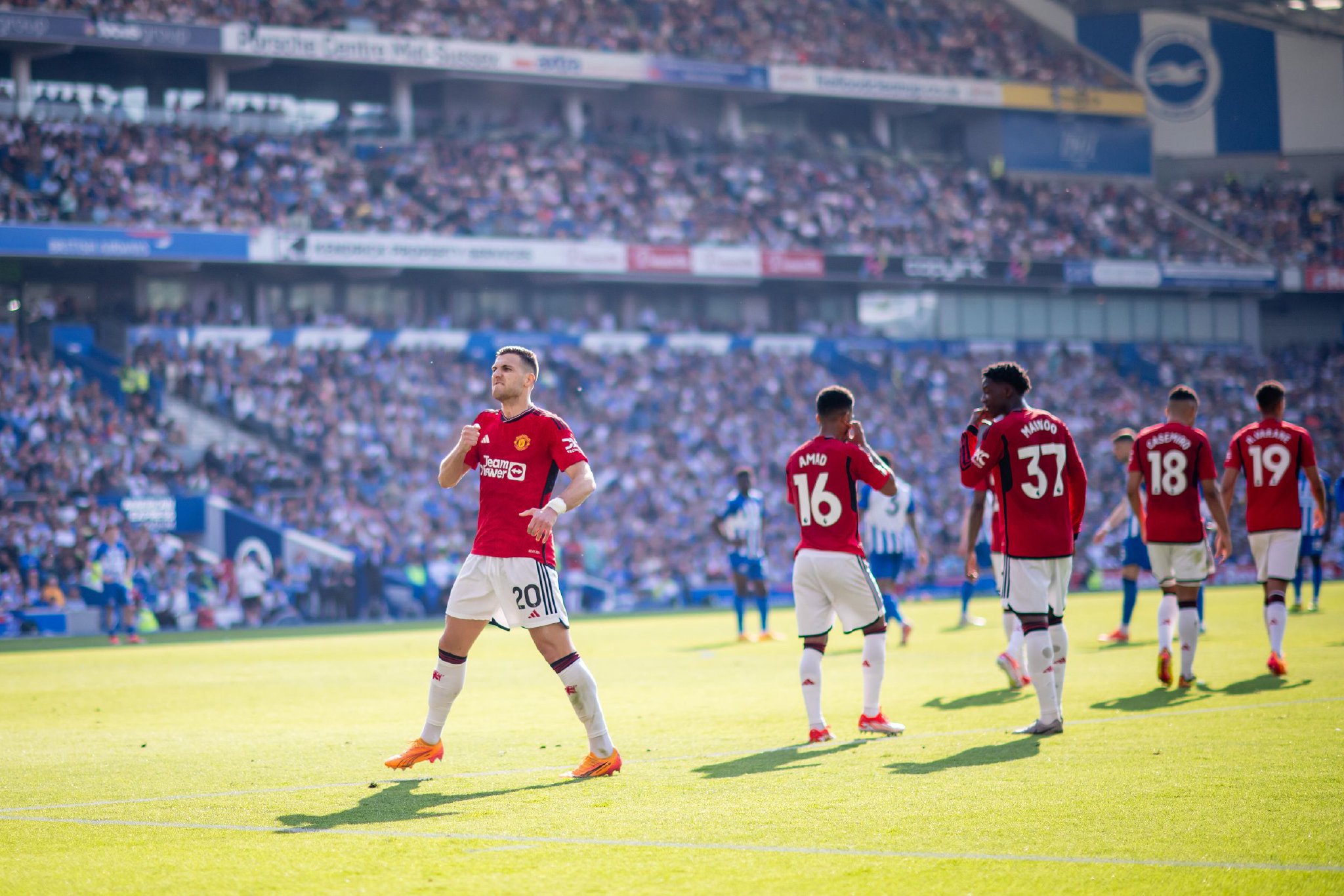 的积极促进 的积极促进